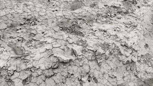 Wet, fertile land. Clay soil. Preparing the land for planting. Agricultural and natural theme. Clay, furrows, hay on the field