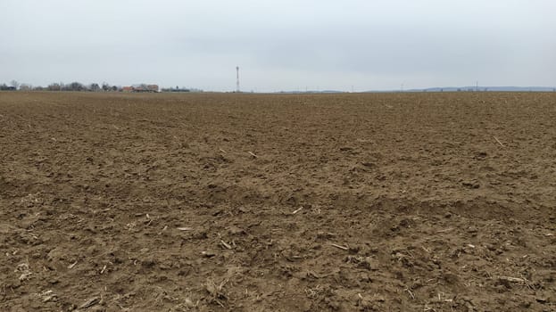 Oilcake remaining after harvesting corn on the ground. Clay, furrows, hay on the field. Wet, fertile land. Clay soil. Preparing the land for planting. Agricultural and natural theme