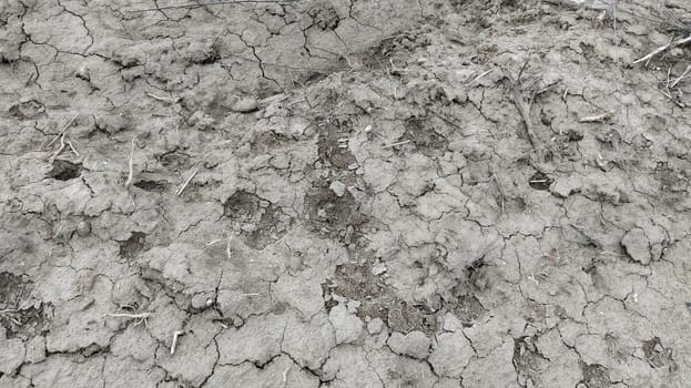Wet, fertile land. Clay soil. Preparing the land for planting. Agricultural and natural theme. Clay, furrows, hay on the field