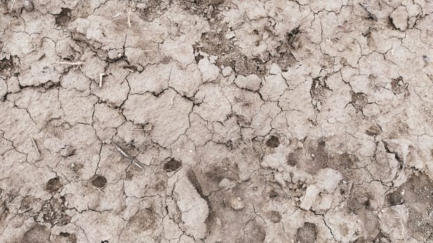Wet, fertile land. Clay soil. Preparing the land for planting. Agricultural and natural theme. Clay, furrows, hay on the field
