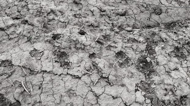 Wet, fertile land. Clay soil. Preparing the land for planting. Agricultural and natural theme. Clay, furrows, hay on the field