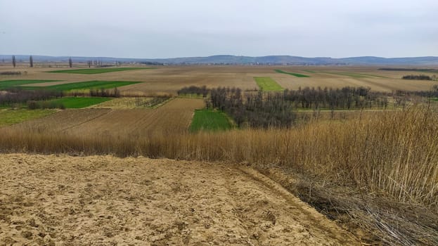 Freshly plowed field. Arable land with fertile soil for planting wheat. Rural landscape in Serbia, Balkans, namely Fruska Gora from Sremska Mitrovica. Furrows and pits. Preparatory agricultural work.