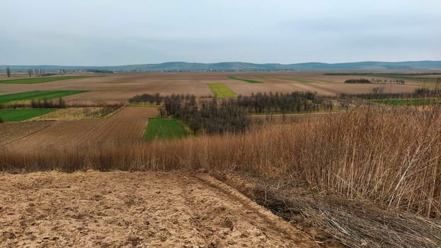 Freshly plowed field. Arable land with fertile soil for planting wheat. Rural landscape in Serbia, Balkans, namely Fruska Gora from Sremska Mitrovica. Furrows and pits. Preparatory agricultural work.