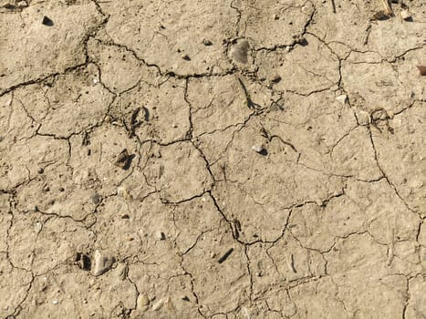Dry clay cracked earth. The soil is light beige. Drought and climate change. Dry mud. Background texture. Banner. Particles of grass, stones and road dust.