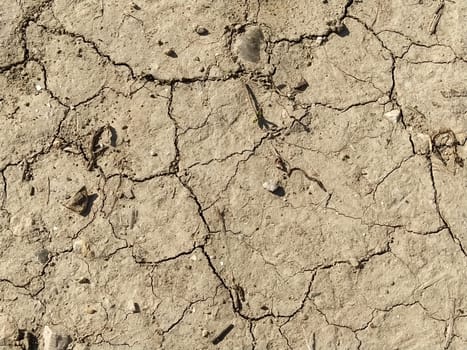 Dry clay cracked earth. The soil is light beige. Drought and climate change. Dry mud. Background texture. Banner. Particles of grass, stones and road dust.