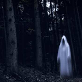 A ghostly vision in white robes roams between tree trunks. Ghost in the paranormal world. Horrible dream. Strange forest in a fog. Mystical atmosphere. Dark wood. Background wallpaper. Gloomy times