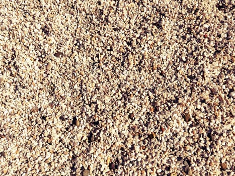 beige small pebbles or decorative gravel. Natural daylight. The texture of the stone with a rough surface. Pebble beach.