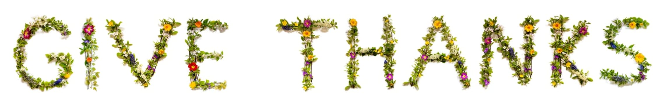 Blooming Flower Letters Building English Text Give Thanks. Summer And Spring Season Blossoms And Flower Lei.