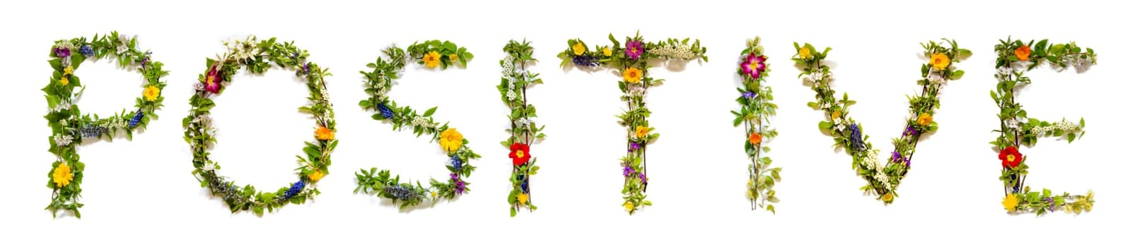 Blooming Flower Letters Building English Word Positive. Colorful Spring and Summer Blossoms. White Isolated Background.