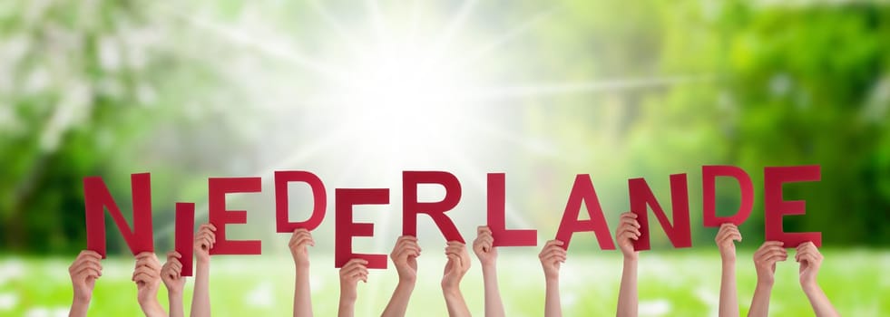 People Or Persons Hands Building German Word Niederlande Means Netherlands. Sunny Green Grass Meadow As Background.
