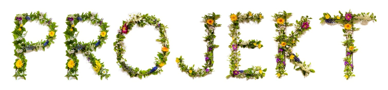 Blooming Flower Letters Building German Word Projekt Means Project. Colorful Spring and Summer Blossoms. White Isolated Background.
