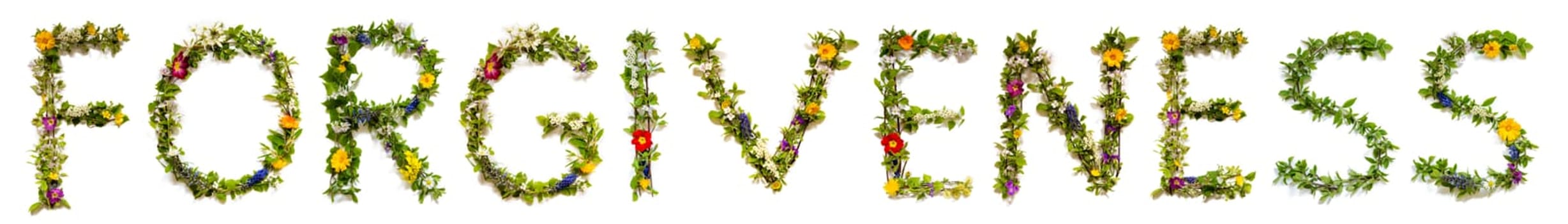 Blooming Flower Letters Building English Word Forgiveness. Colorful Spring and Summer Blossoms. White Isolated Background.