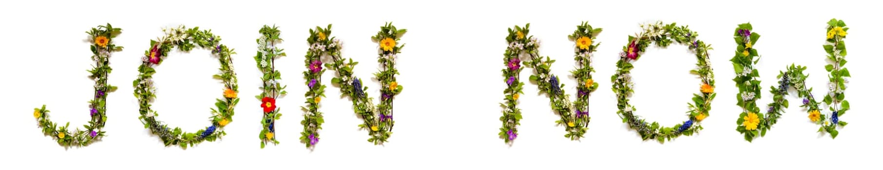 Blooming Flower Letters Building English Word Join Now. Colorful Spring and Summer Blossoms. White Isolated Background.