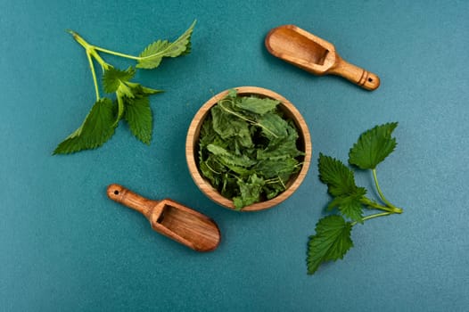 Fresh and dried nettle leaves on the table. Medicinal plant, top view. Copy space.