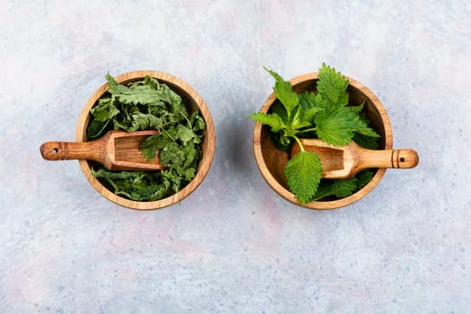 Fresh and dried nettle leaves on the table. Medicinal plant, top view. Copy space.