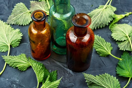 Fresh and dried nettle leaves on the table. Medicinal plant, top view. Copy space.
