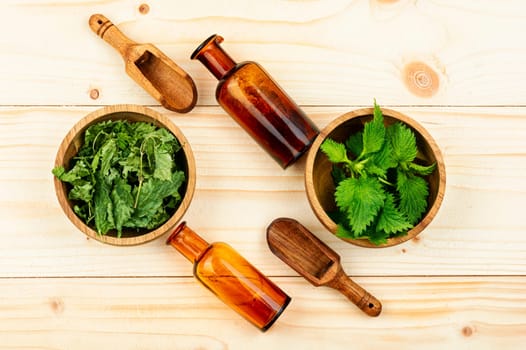 Fresh and dried nettle leaves on the table. Medicinal plant, top view. Copy space.