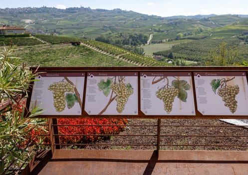 Grinzane Cavour, Italy - Sept 9, 2022: Educational boards in the garden of the Grinzane Cavour castle informing about grape varieties in the Langhe region and how they are grown