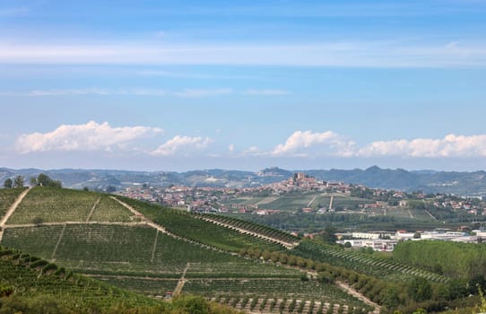 Langhe vineyards near Grinzane Cavour. Unesco Site, Piedmont, Italy