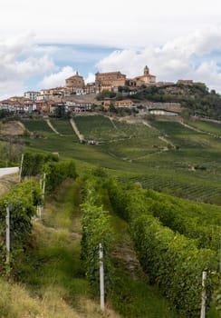 Langhe vineyards near La Morra, Unesco Site, Piedmont, Italy