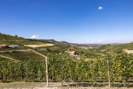 Langhe vineyards near Barolo Unesco Site, Piedmont, Italy