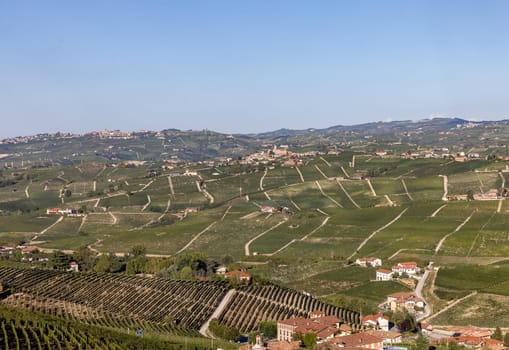 Langhe vineyards near Barolo Unesco Site, Piedmont, Italy