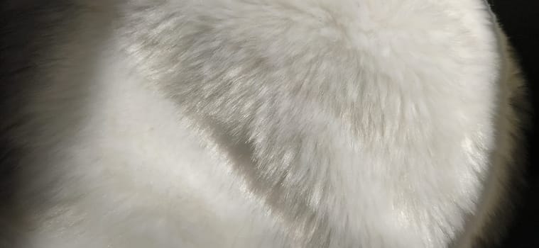White faux fur. Close-up. Partially defocused photo. Fluffy villi.