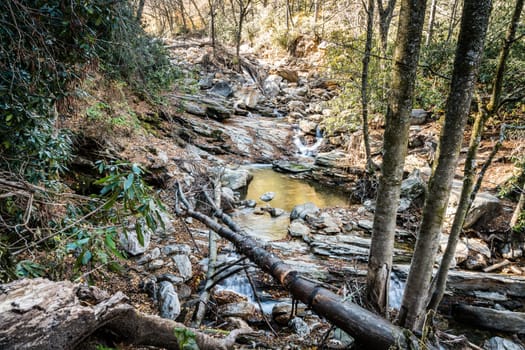 Scenic view of cascades in Yellowstone Prong creek near Blue Ridge Parkway in North Carolina