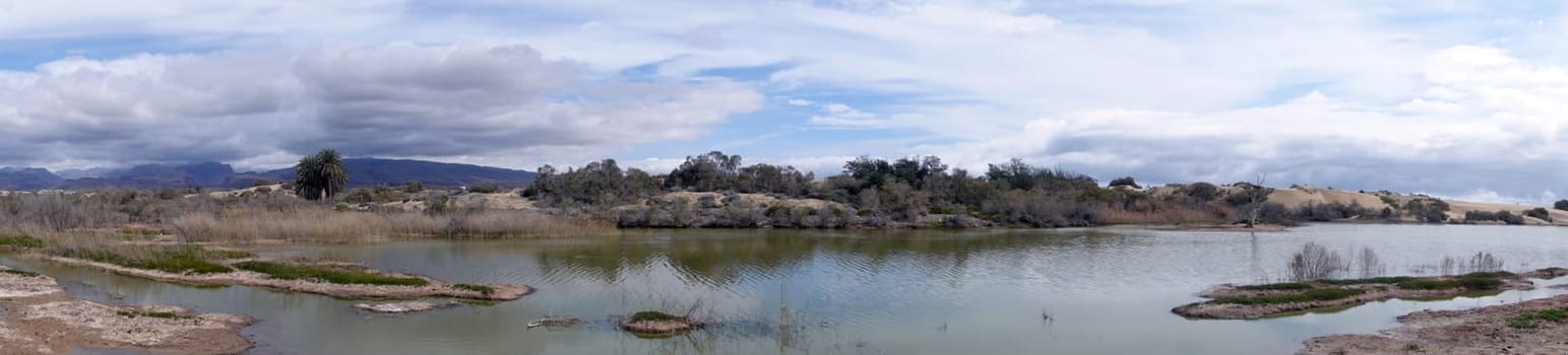 Vogelschutzgebiet Charco de Maspalomas, Gran Canaria, Spanien, Maspalomas