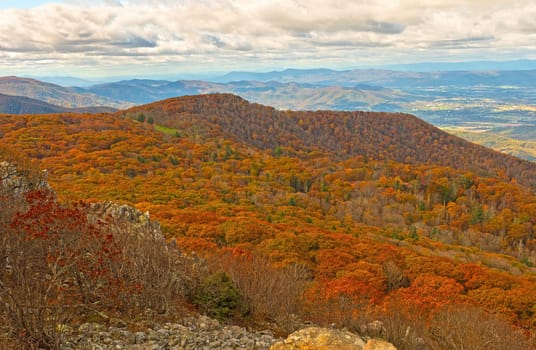 Changing Colors on a Mountain Ridge in Shenandoah National Park in Virginia