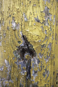 Detail of old wooden wall painted and damaged by the passage of time, ruin and abandonment