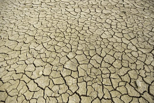 Detail of climate change and environmental destruction