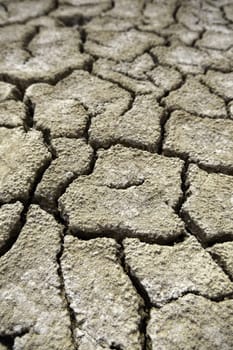 Detail of climate change and environmental destruction