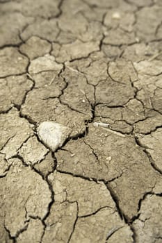 Detail of climate change and environmental destruction