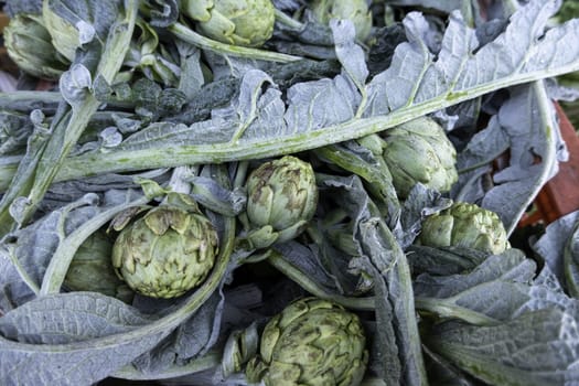 Detail of fresh vegetables in a market in Spain, healthy food, diet