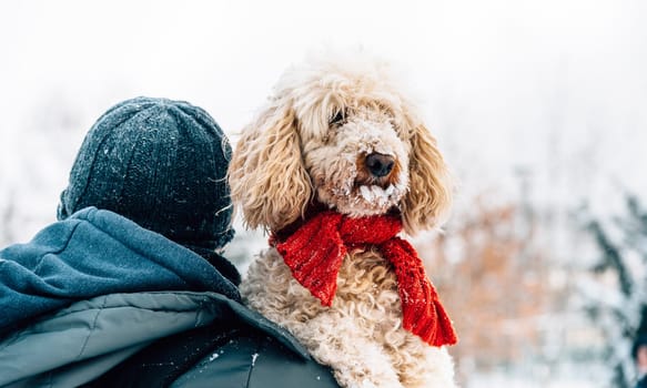 Happy pet and his owner having fun in the snow in winter holiday season. Winter holiday emotion. Man holding cute puddle dog with red scarf. Film filter image.