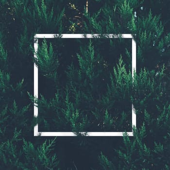 Natural green plant pattern background with white square frame post. Dark nature layout design top view. Moody photo filter.