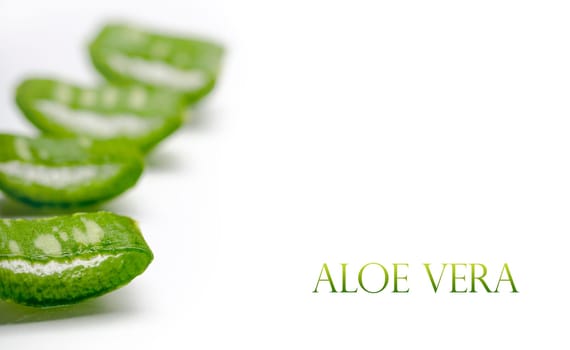 Closeup of fresh aloe vera plant leaf cut slices isolated over white background.