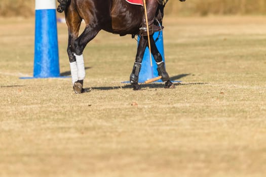 Polo equestrian rider horse pony game action closeup,abstract.