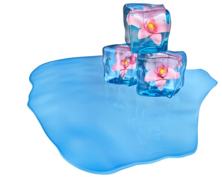 melting ice cubes of a blue shade with flowers and air bubbles