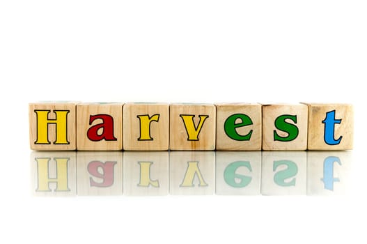 harvest colorful wooden word block on the white background