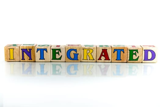 integrated colorful wooden word block on the white background