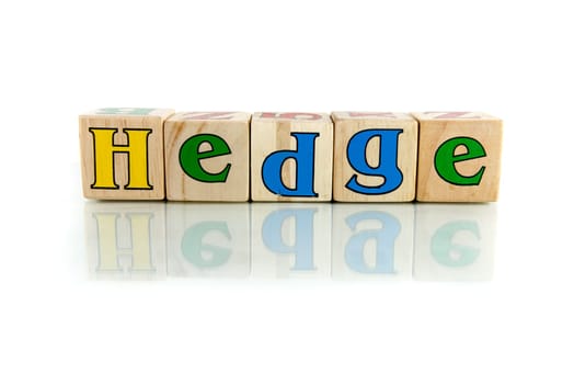 hedge colorful wooden word block on the white background