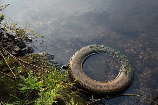 An old car tyre lies on the shore of a lake