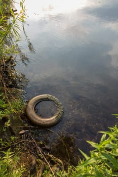 An old car tyre lies on the shore of a lake