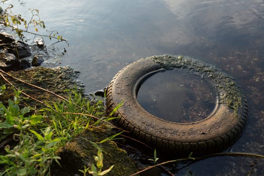 An old car tyre lies on the shore of a lake