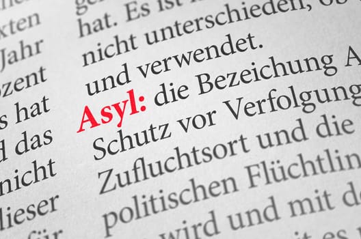 Dictionary with the term asylum
