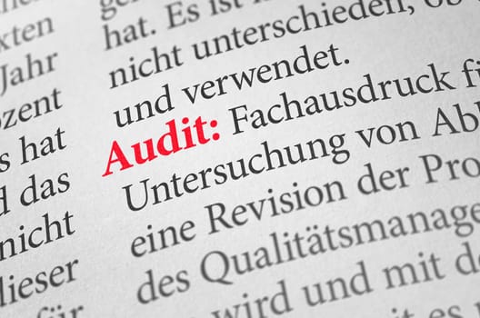 Dictionary with the term audit