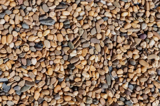 The area is sprinkled with small pebbles in yellow-brown tones for the background. There is a small piece of leaf Taken in daylight, natural light