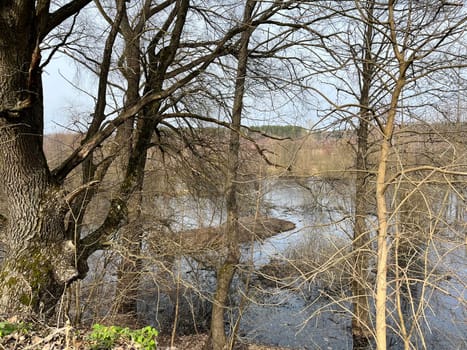 magnificent landscape flooding of the riverbed in early spring in March